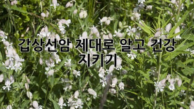 갑상선암, 제대로 알고 건강 지키기