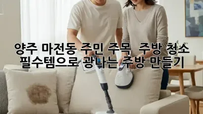 양주 마전동 주민 주목! ✨ 주방 청소 필수템으로 광나는 주방 만들기 ✨